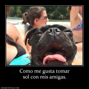 Como me gusta tomar sol con mis amigas.