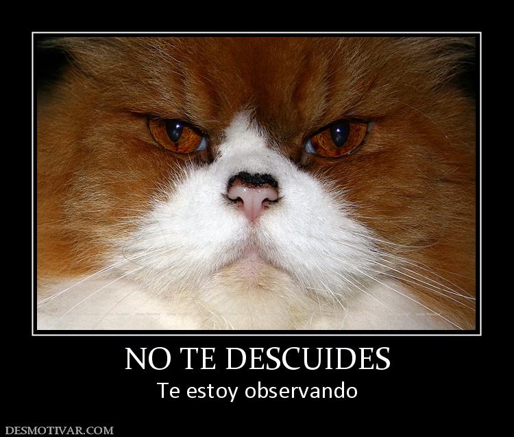 NO TE DESCUIDES Te estoy observando