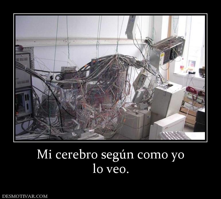 Mi cerebro según como yo lo veo.
