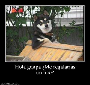 Hola guapa ¿Me regalarías un like?
