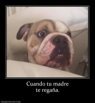 Cuando tu madre te regaña.