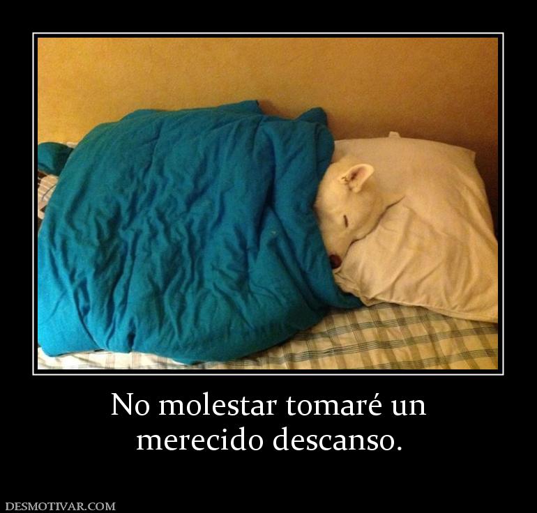 No molestar tomaré un merecido descanso.