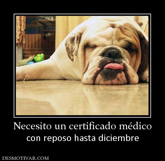 Necesito un certificado médico con reposo hasta diciembre