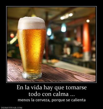 En la vida hay que tomarse todo con calma ... menos la cerveza, porque se calienta