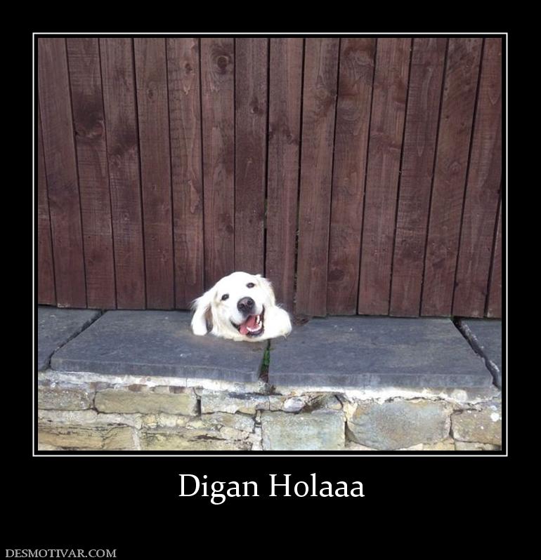 Digan Holaaa