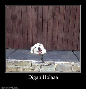 Digan Holaaa