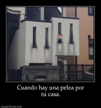 Cuando hay una pelea por tu casa.