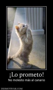 ¡Lo prometo! No molesto más al canario