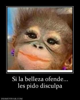 Si la belleza ofende... les pido disculpa