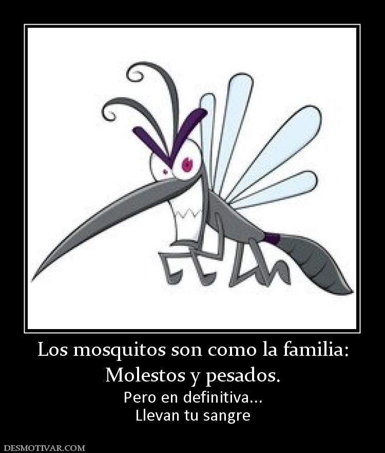 Los mosquitos son como la familia: Molestos y pesados. Pero en definitiva... Llevan tu sangre