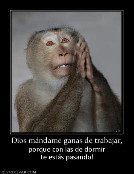 Dios mándame ganas de trabajar, porque con las de dormir te estás pasando!