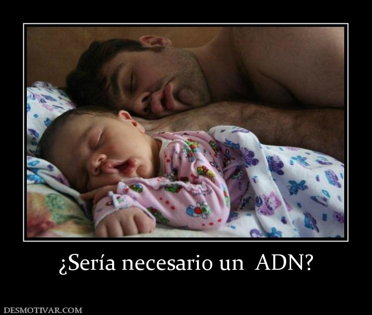 ¿Sería necesario un  ADN?