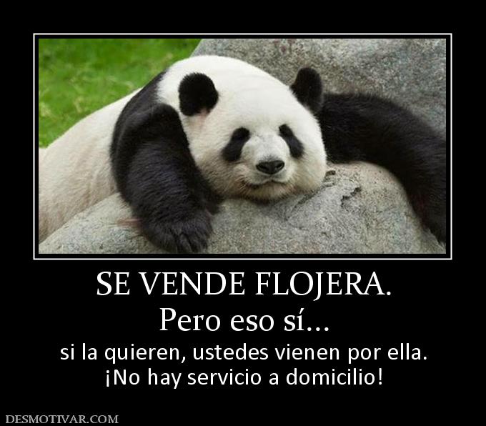 SE VENDE FLOJERA. Pero eso sí... si la quieren, ustedes vienen por ella. ¡No hay servicio a domicilio!