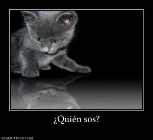 ¿Quién sos?