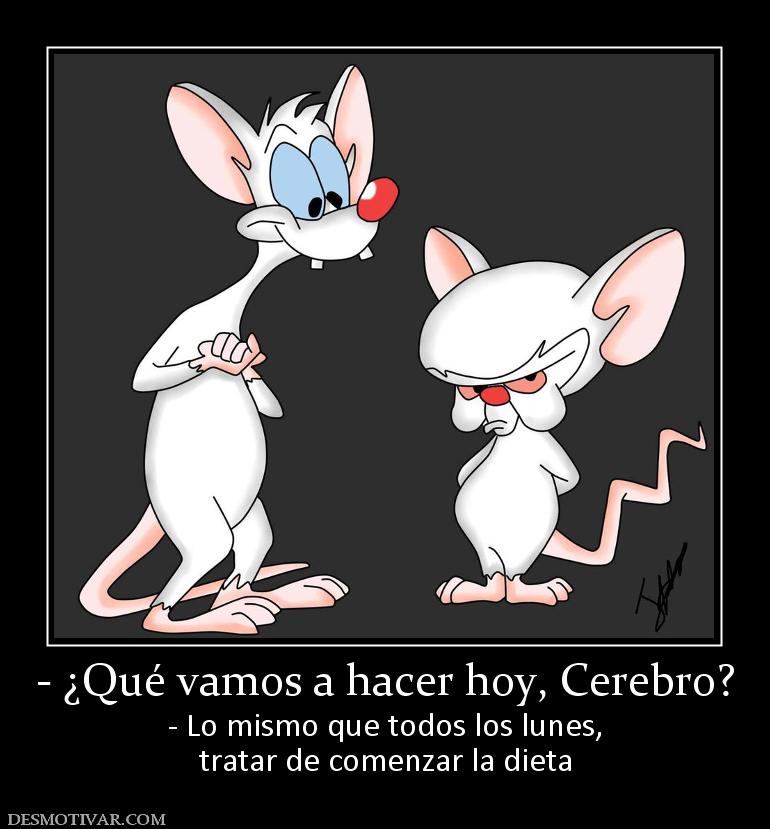 - ¿Qué vamos a hacer hoy, Cerebro? - Lo mismo que todos los lunes, tratar de comenzar la dieta