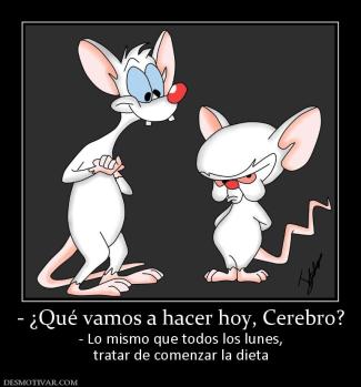 - ¿Qué vamos a hacer hoy, Cerebro? - Lo mismo que todos los lunes, tratar de comenzar la dieta