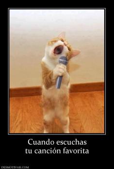 Cuando escuchas tu canción favorita