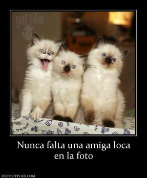 Nunca falta una amiga loca en la foto