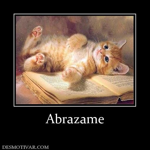 Abrazame