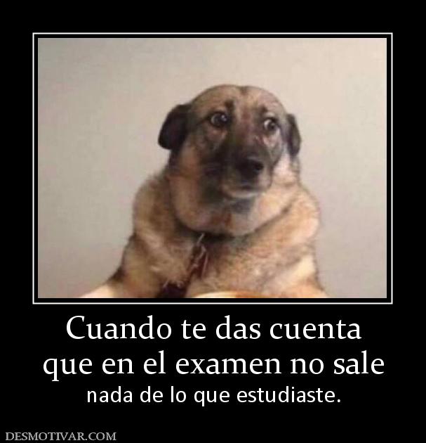 Cuando te das cuenta que en el examen no sale nada de lo que estudiaste.