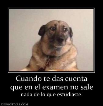 Cuando te das cuenta que en el examen no sale nada de lo que estudiaste.