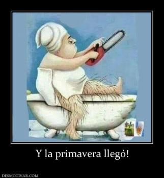 Y la primavera llegó!