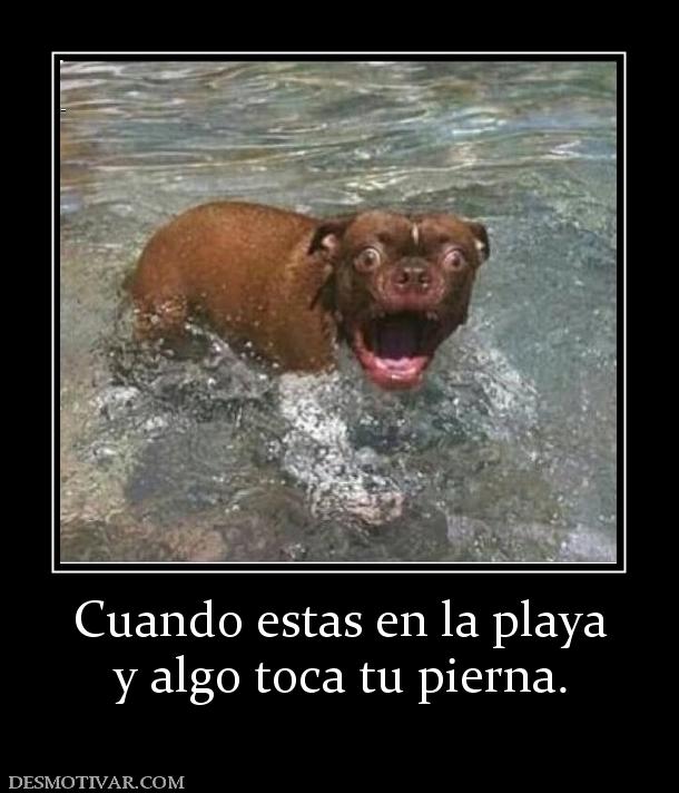 Cuando estas en la playa y algo toca tu pierna.