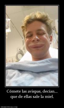 Cómete las avispas, decían... que de ellas sale la miel.
