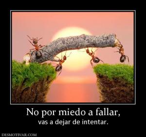 No por miedo a fallar, vas a dejar de intentar.
