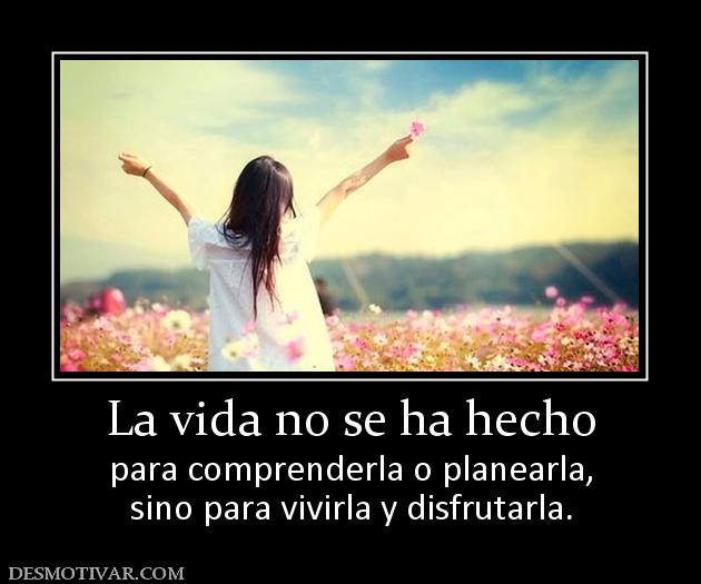 La vida no se ha hecho para comprenderla o planearla, sino para vivirla y disfrutarla.