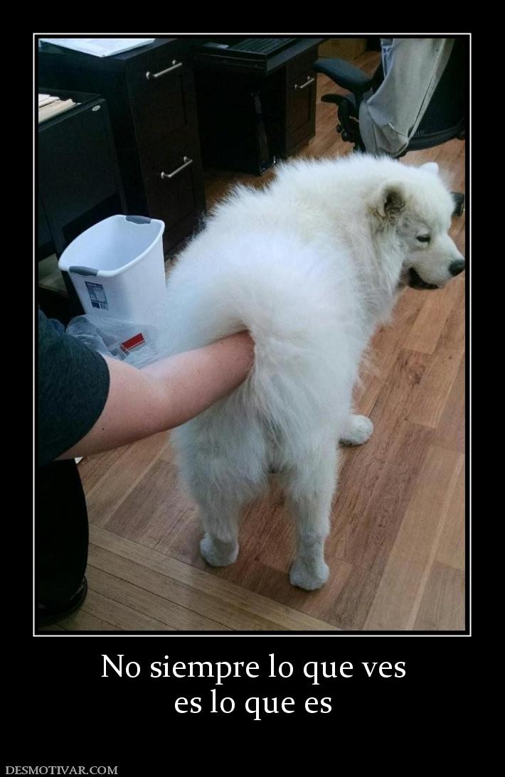 No siempre lo que ves es lo que es