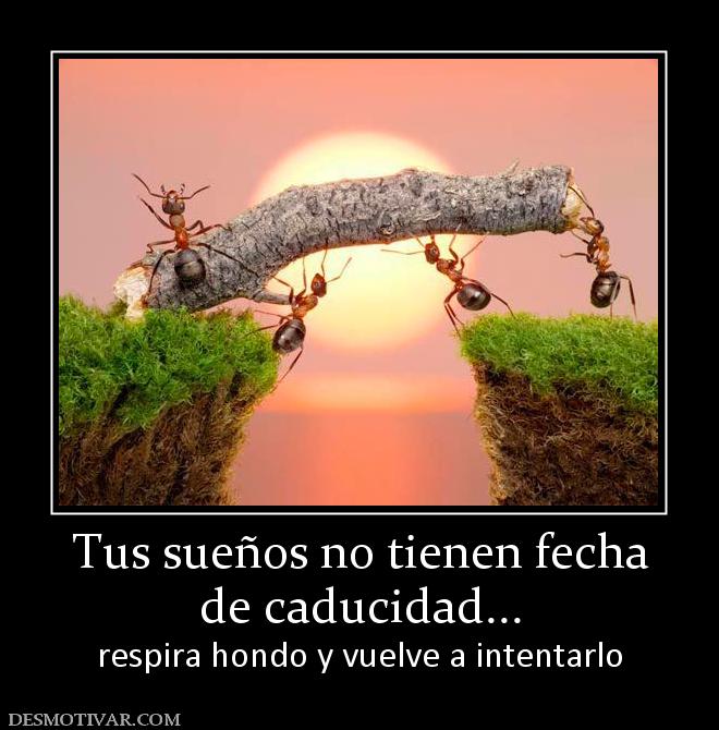 Tus sueños no tienen fecha de caducidad... respira hondo y vuelve a intentarlo