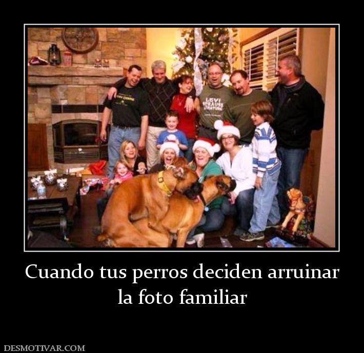 Cuando tus perros deciden arruinar la foto familiar
