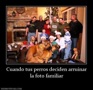 Cuando tus perros deciden arruinar la foto familiar