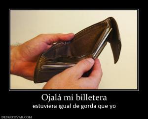 Ojalá mi billetera estuviera igual de gorda que yo