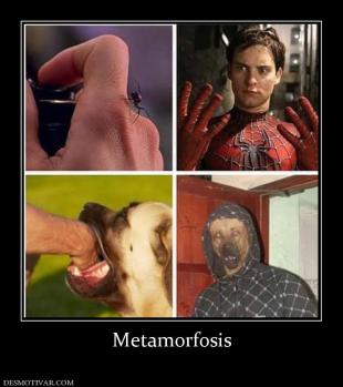 Metamorfosis