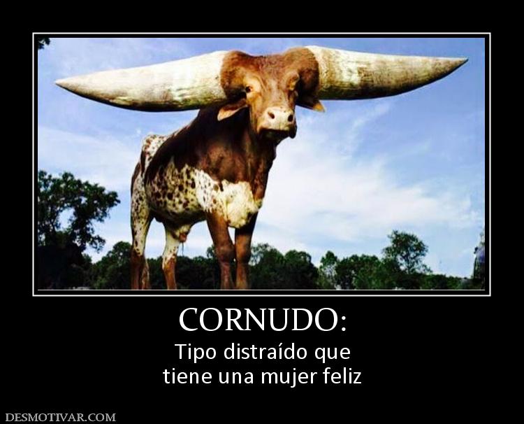 CORNUDO: Tipo distraído que tiene una mujer feliz