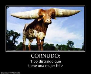 CORNUDO: Tipo distraído que tiene una mujer feliz