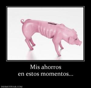 Mis ahorros en estos momentos...