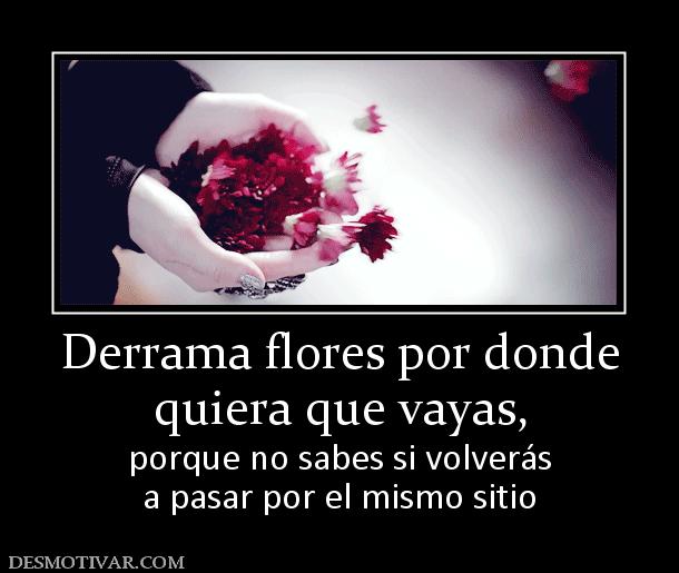 Derrama flores por donde quiera que vayas,  porque no sabes si volverás a pasar por el mismo sitio