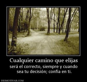 Cualquier camino que elijas será el correcto, siempre y cuando  sea tu decisión; confía en ti.