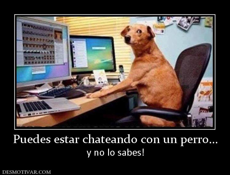 Puedes estar chateando con un perro... y no lo sabes!