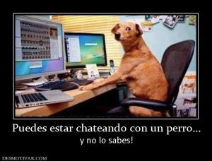 Puedes estar chateando con un perro... y no lo sabes!