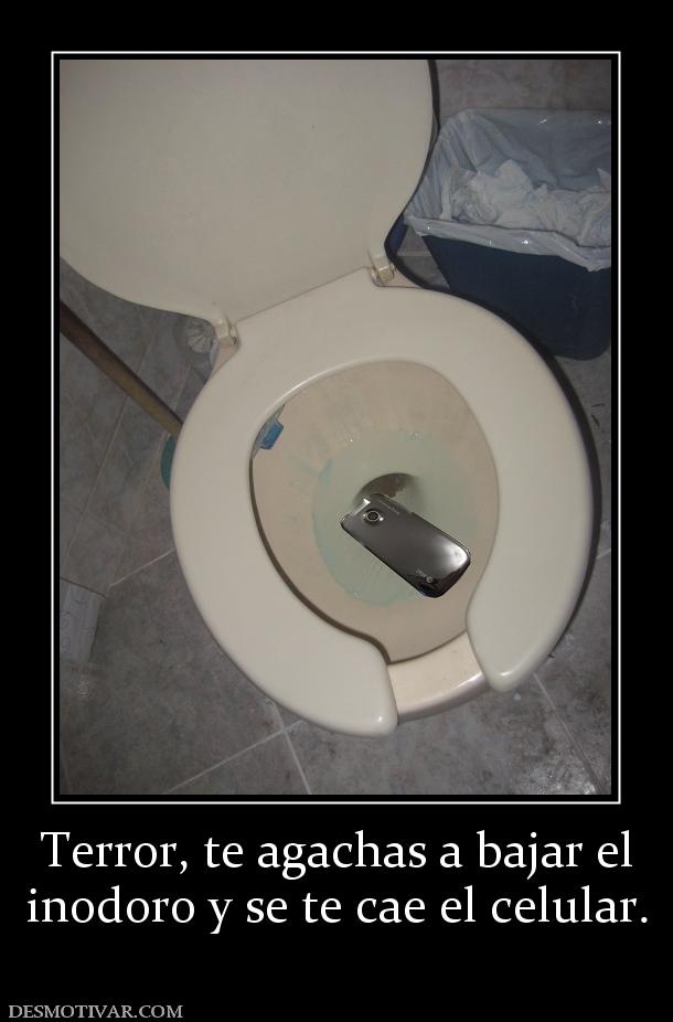 Terror, te agachas a bajar el inodoro y se te cae el celular.