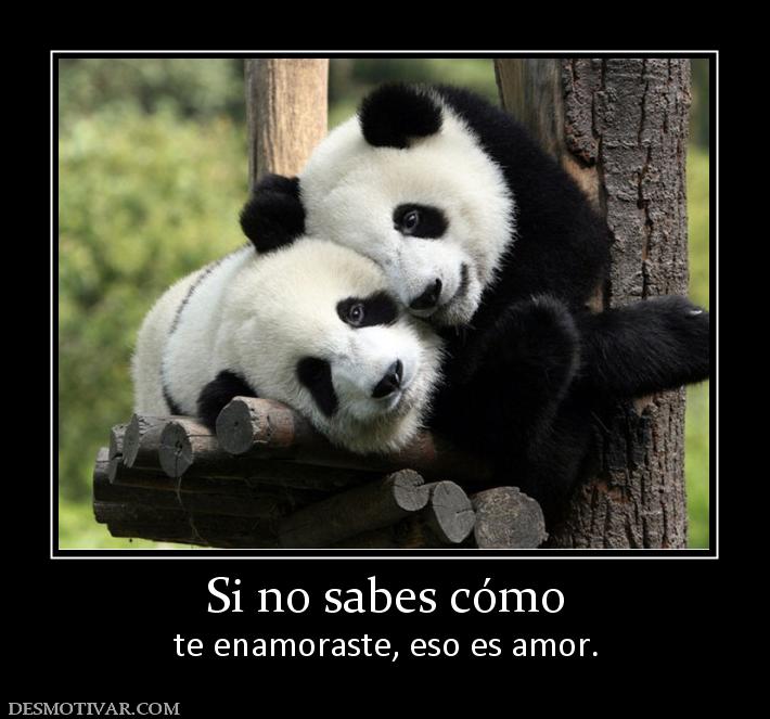 Si no sabes cómo te enamoraste, eso es amor.