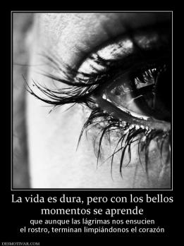 La vida es dura, pero con los bellos momentos se aprende  que aunque las lágrimas nos ensucien el rostro, terminan limpiándonos el corazón