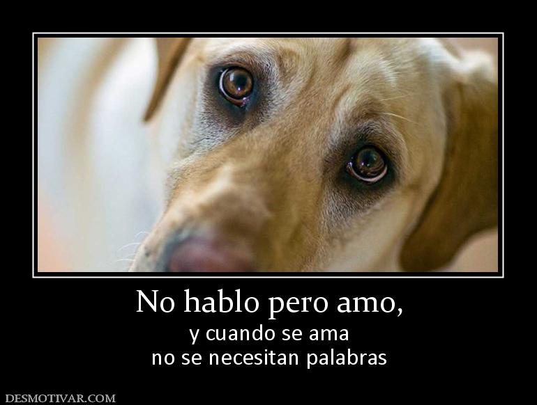 No hablo pero amo, y cuando se ama no se necesitan palabras