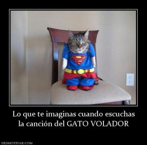 Lo que te imaginas cuando escuchas la canción del GATO VOLADOR