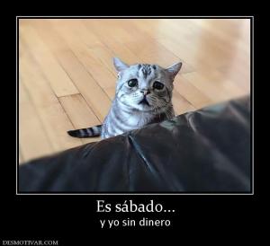 Es sábado... y yo sin dinero