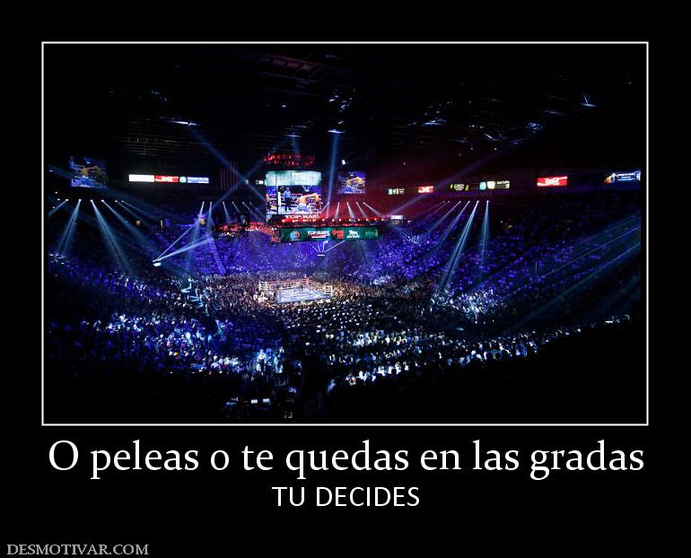 O peleas o te quedas en las gradas TU DECIDES